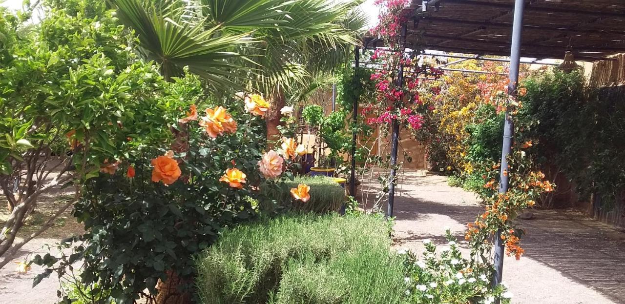 Auberge Bassou Nkob Екстериор снимка