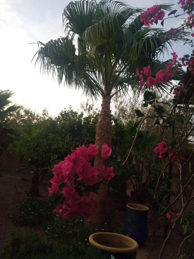 Auberge Bassou Nkob Екстериор снимка
